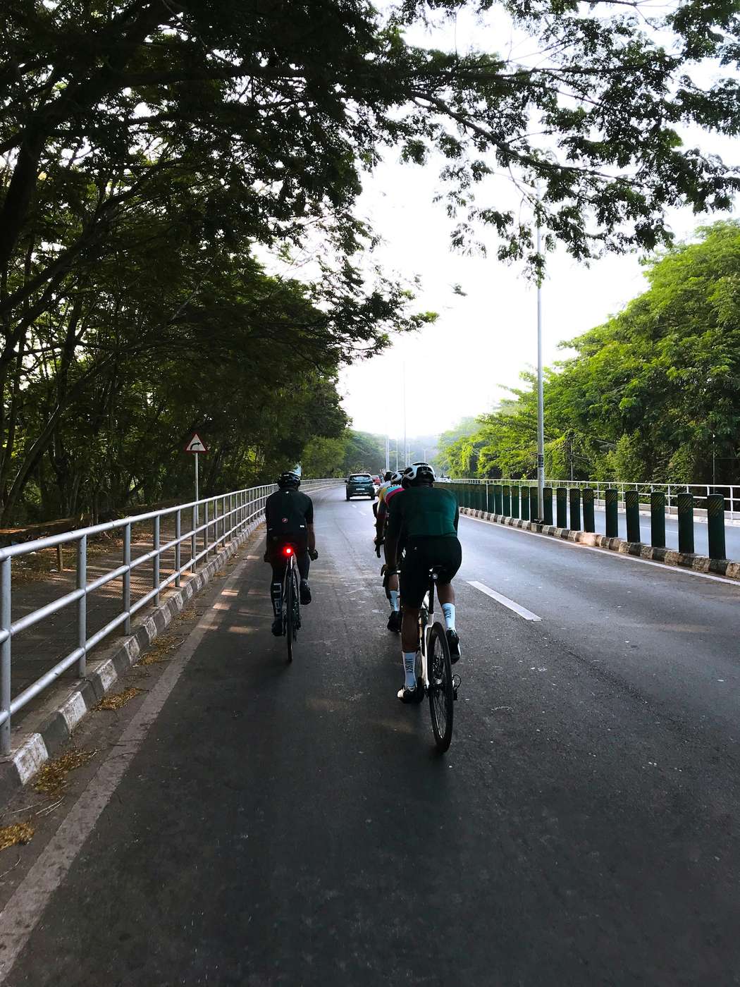 Two cyclists riding side by side down a wide, tree-lined road in the early morning.