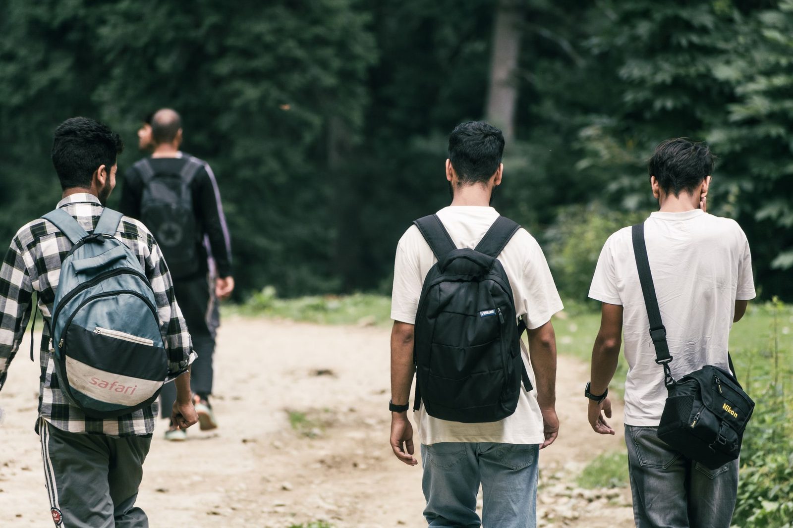 Four friends with backpacks walking together along a forest trail, seen from behind.